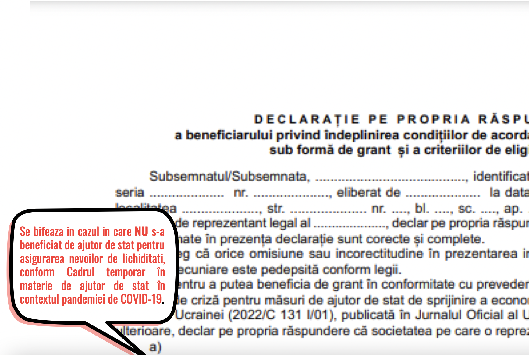 A aparut MODELUL de completare a declaratiei pe propria raspundere pentru IMM-urile care vor sa obtina granturi in cadrul programului IMM Invest Plus