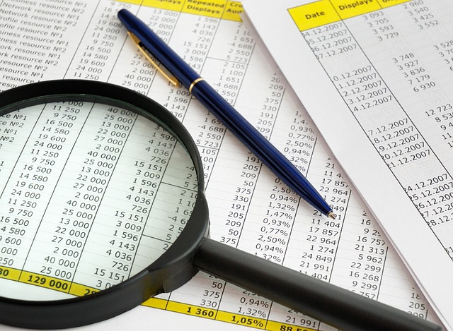 Incepand cu 1 ianuarie 2025 mai multe venituri vor fi MAJORATE: salarii, pensii, alocatii