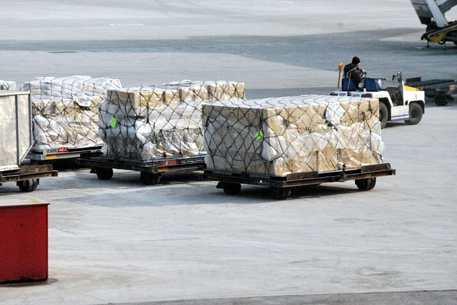 E-Transport: Pentru operatorii economici autorizati, sanctiunile se amana pana la 1 ianuarie 2025