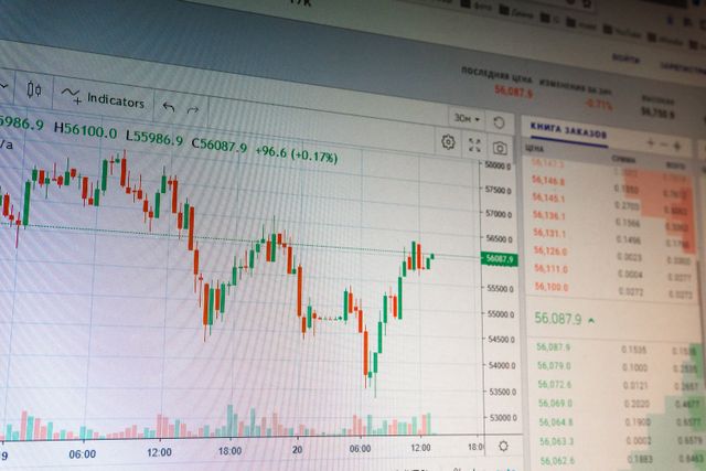 Legea Conturilor de Economii si Investitii (CEI) aprobata de Parlament: ce presupune si cum functioneaza